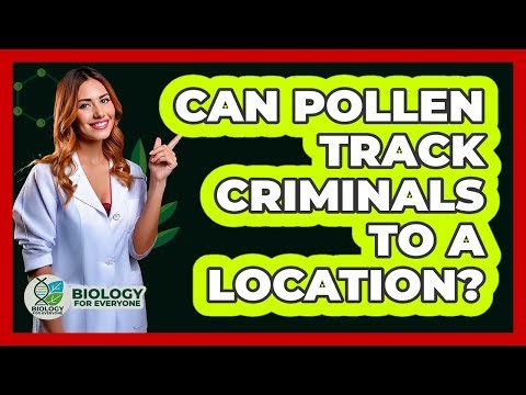 Can Pollen Track Criminals To A Location? - Biology For Everyone