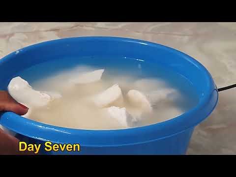 HOW TO MAKE CASSAVA FUFU FROM the start Step by Step Processing of Cassava Fufu From Cassava