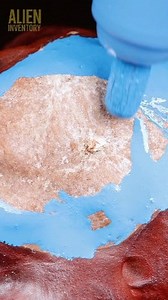 968K views · 6.3K reactions | blue marker vs chestnut #asmr #asmrsounds #macroart #macro #macrophotography #makrofotografia #closeup #closeupphotògraphy #raw_macro #kings_macro #macro_highlight #macro_royals #macroworld_tr #macro_vision #macro_captures #macro_holic #microworld | Alien Inventory | Facebook