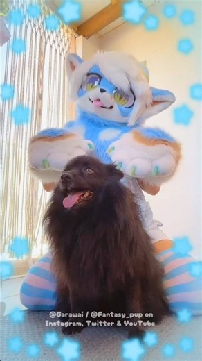 Same energy, different height~ #furry #femboy #Furries #furryfandom #furryfemboy #femboyfurry
