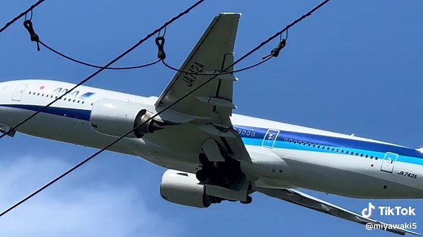 #ANA#Ｂ777-200(ER)#伊丹空港 #青組#那覇空港行き