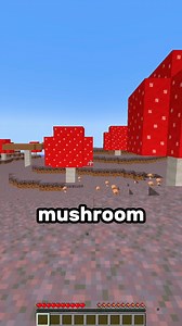 527K views · 13K reactions | All Biomes in One Place #minecraft #minecraftmods #minecraftmemes #minecraftpe #minecraftbuilds | SeaWattgaming | Facebook