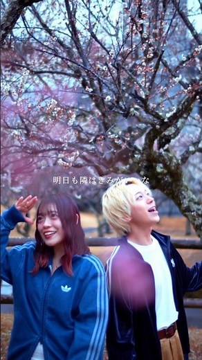 卒業して離ればなれになっても #僕の隣はいつもきみ #音虎とerii #オリジナル曲 #兄妹