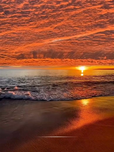 Spring Break Essentials for 2023