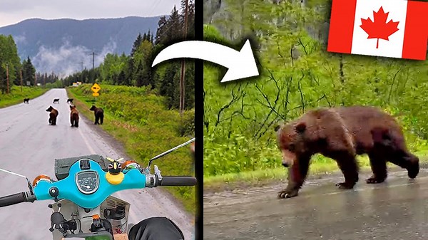 Mi encuentro más peligroso con osos grizzly