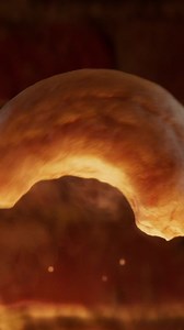 Pick up Deluxe Mixed Nuts online or in-store and open the magic for your holiday party! | Mr. Peanut