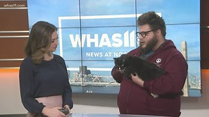 Pet of the Week: Miss Molly