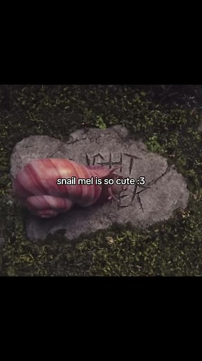 Melanie Martinez의 트릴로지 투어와 그 매력