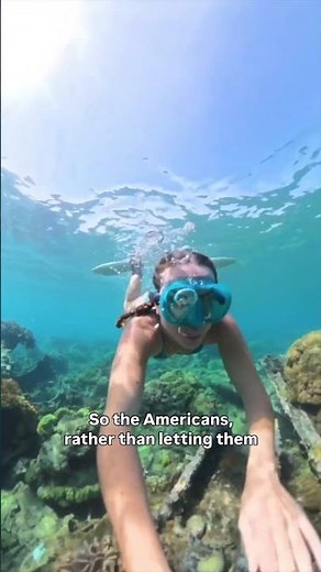 Snorkeling on Million Dollar Point, Espiritu Santo, Vanuatu