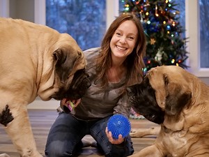 Gift Guide for Large Dogs: Top 13 Gifts Your Big Dog Will LOVE!
