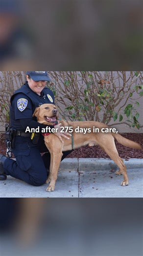 35K views · 1.1K reactions | Today is the day!Give Humane: San Diego...