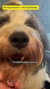 Eclampsia Awareness Series - Episode 2