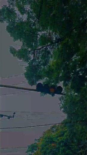 🌧️Sometimes all you need is a rainy road, good music,& a little silence. #longdrive #healing #peace