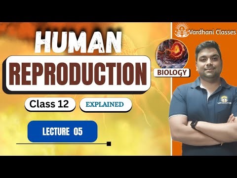 Human Reproduction Explained | Class 12 Biology Chapter | NEET 2025 | LEC 05 | BY DR KARAN VARDHANI