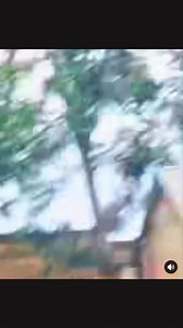 2.2M views · 72K reactions | La vidéo qui fait le Buzzz actuellement Plus de 50 millions de vue en 24h l’Afrique à un incroyable talent moi même je suis dépassé ce que tu na jamais vue faut dire que ça n’existe pas | Le capitaine Sylla | Facebook