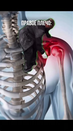 Знакомая ситуация? 😬 футболка spadi на вб/ 604805226