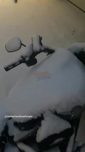 Harley-Davidson Cold Start❄️ | Harley Davidson People