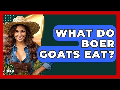 What Do Boer Goats Eat? - The World of Agriculture