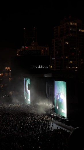 An iconic experience ✨ @RÜFÜS DU SOL #rufusdusol #rufusdusolconcert | rufus du sol