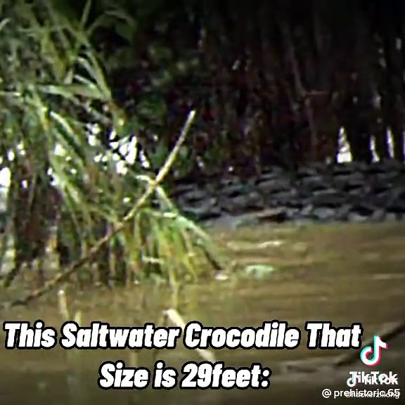 Lolong's Brother: The Giant Predator of the Land