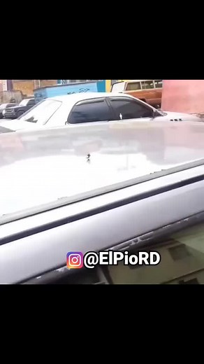 Exploring Mating Behavior of Flies in Nature