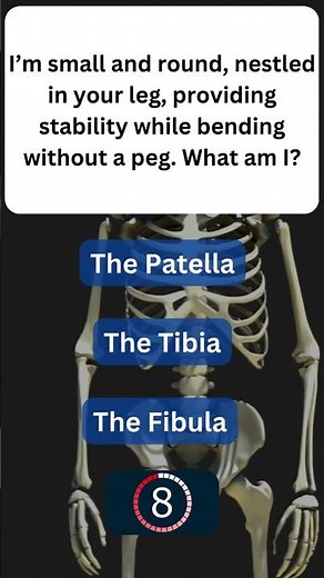 Fun Fact About Your Bones! 🦴 #SkeletalSystem 30