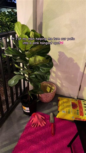 Feel free to peave ideas for more plants that don’t need a lot of sunlight to put out here🎀 #fyp #pink #pinkaesthetic #plants #pinktok🎀