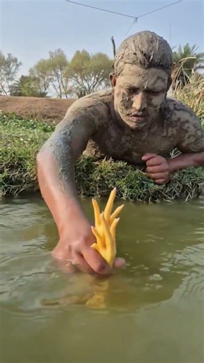 Catching a Big Wallago Attu Fish By Hands