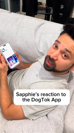Using the dogtok translator app to see if she understands and clearly she did 🤣🤣 #dog #funnydog #attention #dogtok #dogtranslator #dogsoftiktok | Sapphie.Pomsky