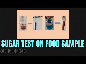 Test to identify Sucrose sugar in the Food Sample | Grade 8-10 Biology Demo | Board Practical