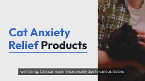Cat Anxiety Relief Products