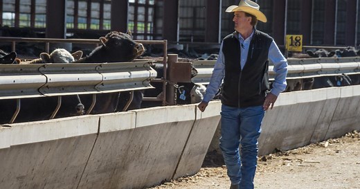 Feed Bunk Management