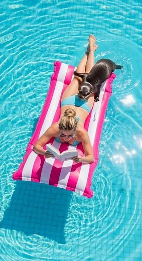 Adorable Otter Joins Woman Reading on a Pool Float 💦📖