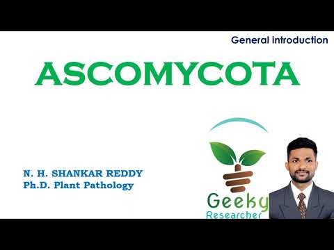 Lec 38. Fungi # Ascomycota | General Properties | Mycology | Plant Pathology | B.Sc/M.Sc Agriculture