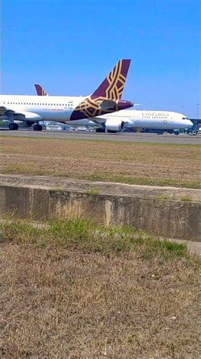 Vistara Airlines flight ✈️#short