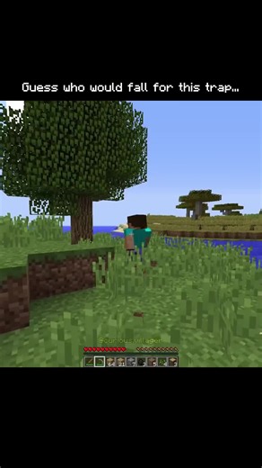 Curious Villager na TikTok