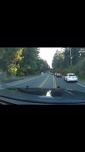 Here’s what led up to the video I just posted. If you haven’t seen that, go to my page after this and watch. According to @sheriffsanders - On October 15th, one of our School Resource Officers came across a serious collision on SR 510. The causing driver was erratic: charging at the deputy, returning to his car and digging through it, and trying to get access to the victim driver. When the deputy placed herself between the victim and the suspect, a taser was deployed but didn’t work. The suspect