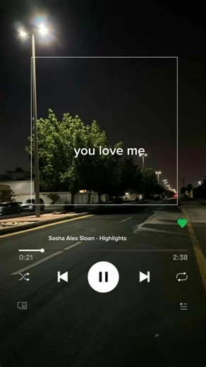 You only love me for the highlights🥺 #sashaalexsloan #highlights #lyric #lyrics_songs #fyp #foryoupage❤️❤️ #foryoupageofficial