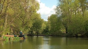 12K views · 141 reactions | The Acolyte Pro in action this Spring at...