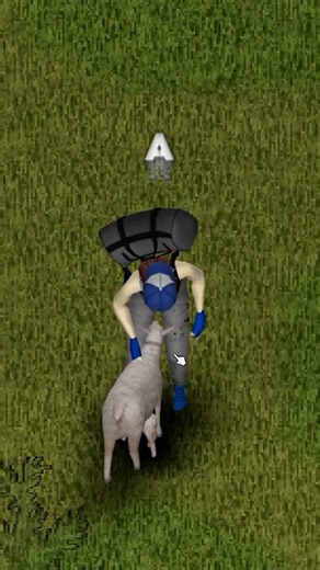 Project Zomboid Multiplayer Dicas e Estratégias