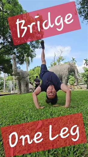 Bridge #fitness #motivation #calisthenics #gymnastics