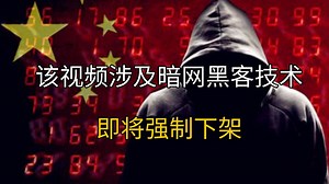 (已离职)冒死上传,从入门到入狱!保姆级暗网黑客技术教程_黑客大佬教你_零基础网络安全学习__渗透测试_web安全_黑客技术.网络安全黑客技术.29076556