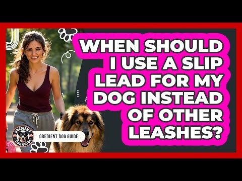 When Should I Use A Slip Lead For My Dog Instead Of Other Leashes? - Obedient Dog Guide