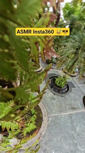 This is what you can do with the Insta360 #shorts #fun #360video