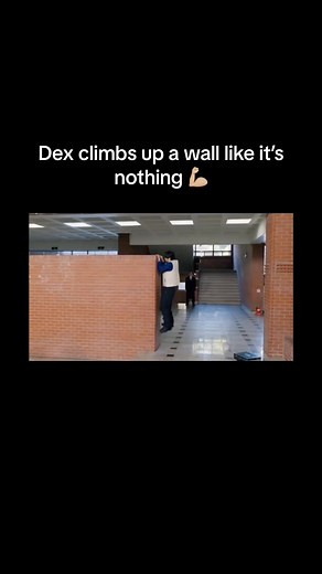 Seriously, how can you climb that wall more than your height just with your arms. #덱스 #dex #김진영 #kimjinyoung #더존3 #thezone #fyp #4u
