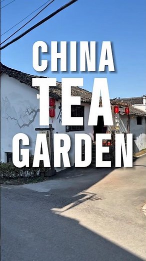 Is This the Most Beautiful Tea Plantation in China?