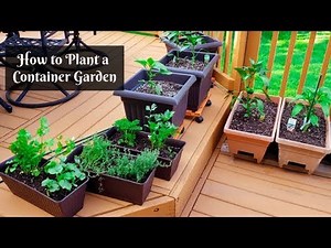 How to Plant a Container Garden | Small Gardening on Your Backyard Deck or Patio