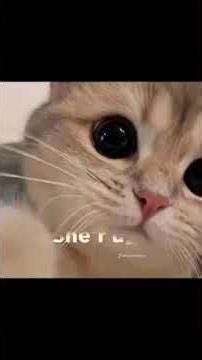 ❤️❤️❤️❤️❤️❤️❤️❤️