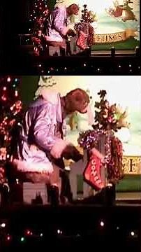 Disneys Country Bear Christmas Special #bigfloridacountry #countrybearjamboree #magickingdom