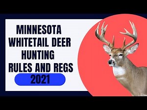 Minnesota Whitetail Deer Hunting Rules and Regs 2021